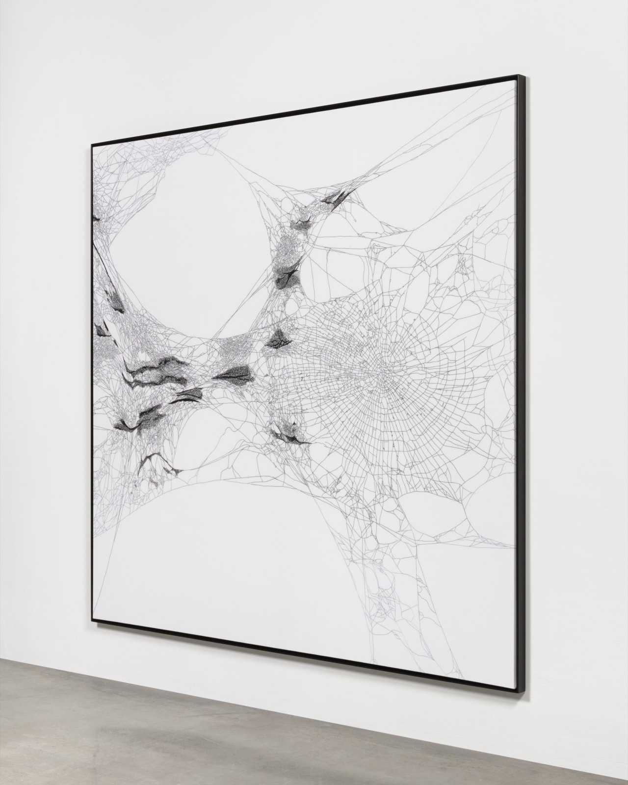 Image of Handwoven spider map