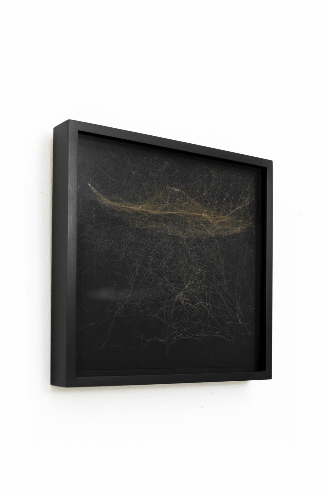 tomas saraceno framed spider silk on paper