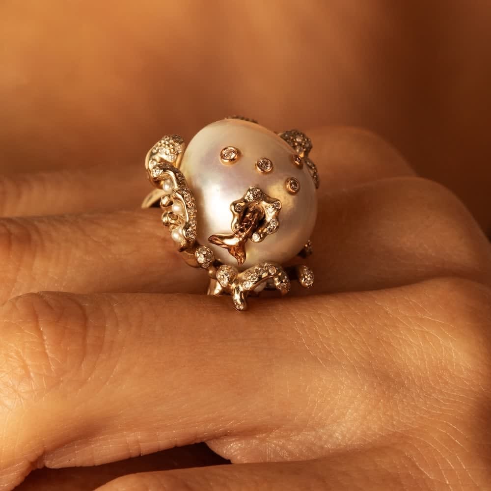 Bibi Van Der Velden, Splash ring