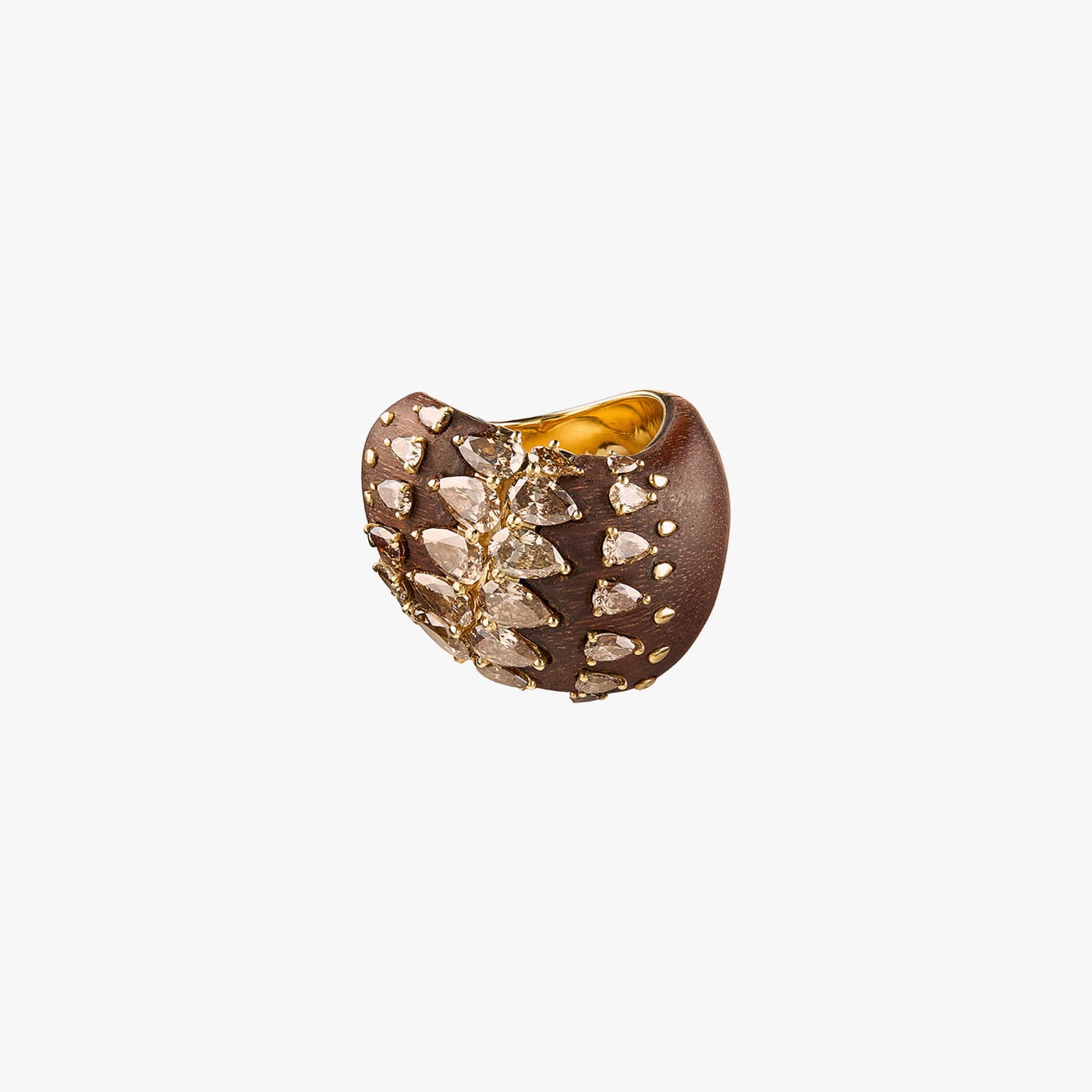 Fernando Jorge, Deep stream ring
