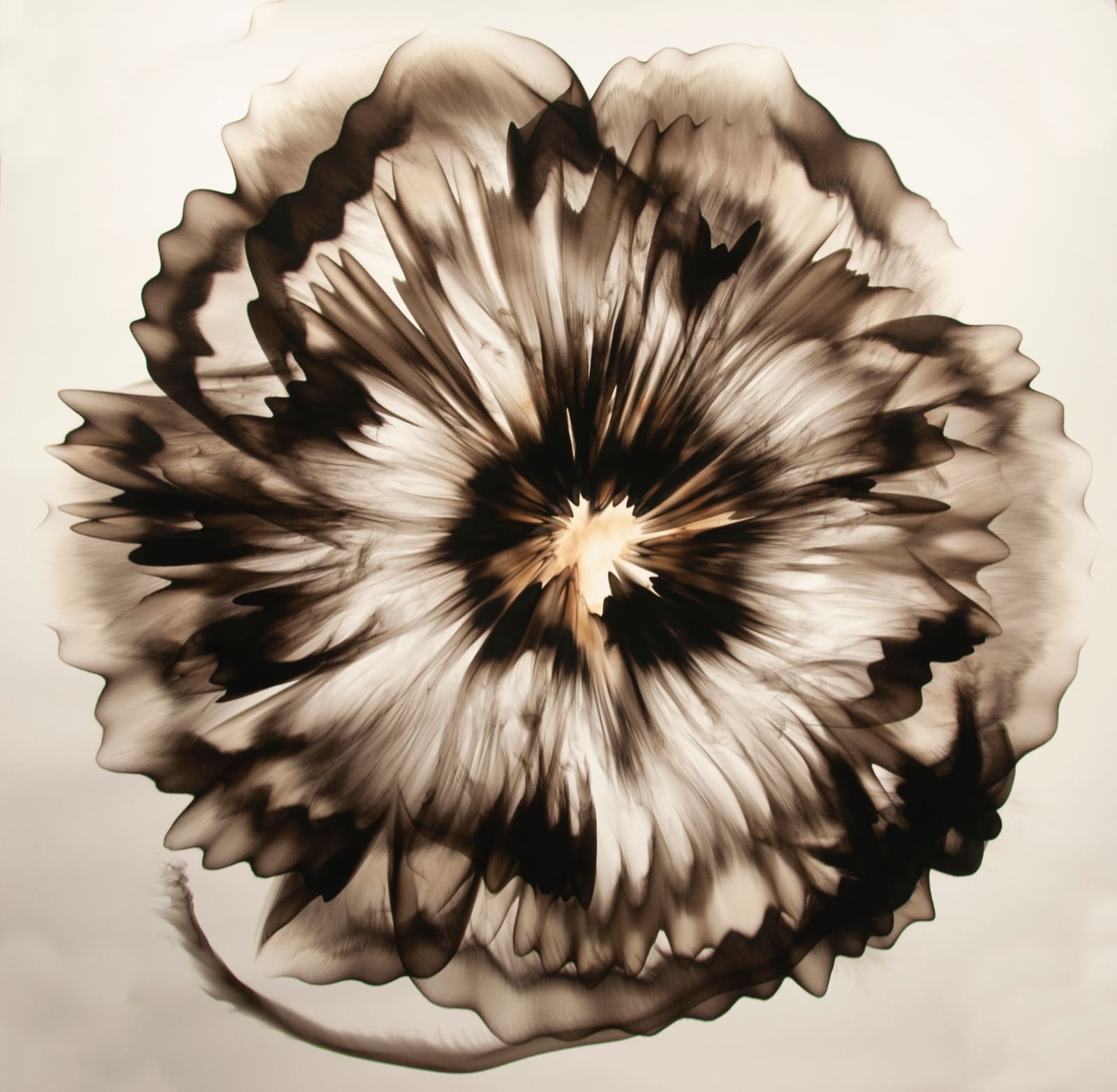 Dennis Lee Mitchell, Untitled (58.7) Smoke on Paper, 2019