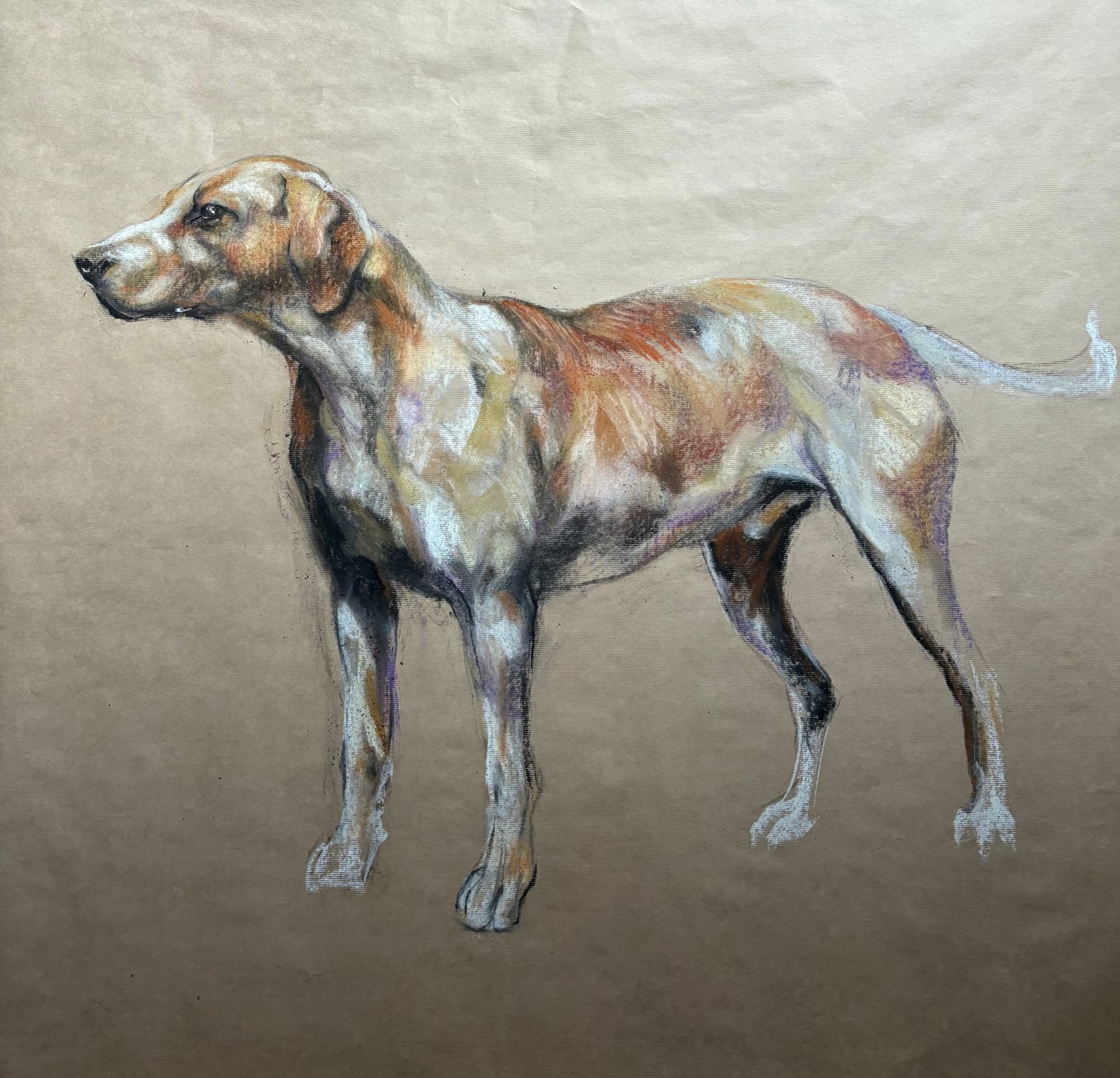 Nicola Hicks, Fox Hound, 2024