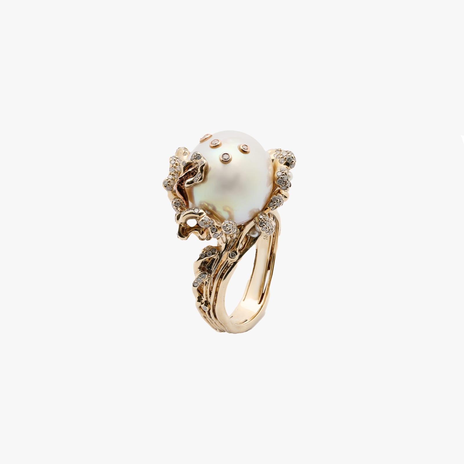 Bibi Van Der Velden, Splash ring