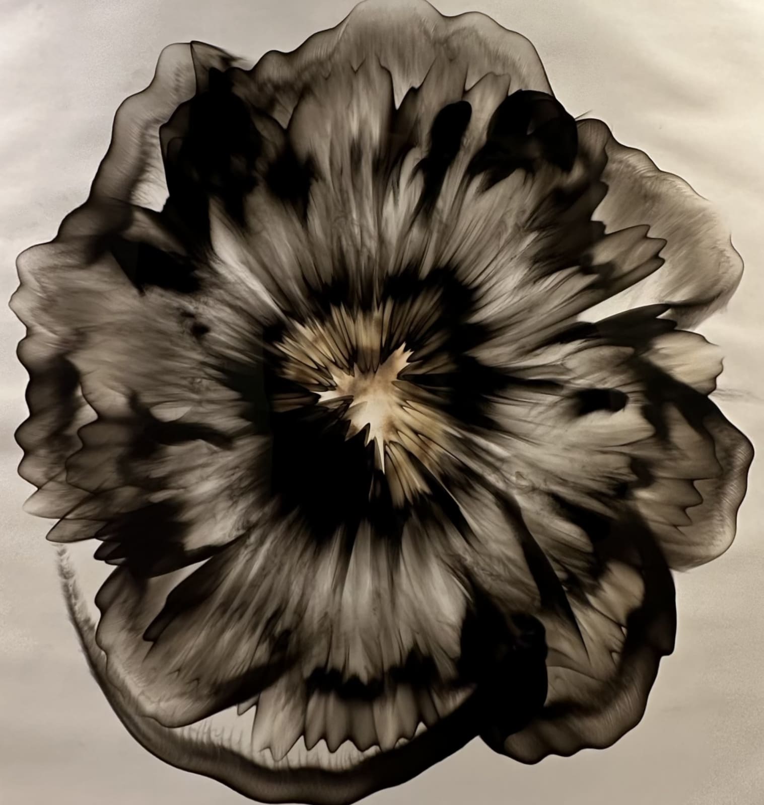 Dennis Lee Mitchell, Untitled (58.7) Smoke on Paper, 2019