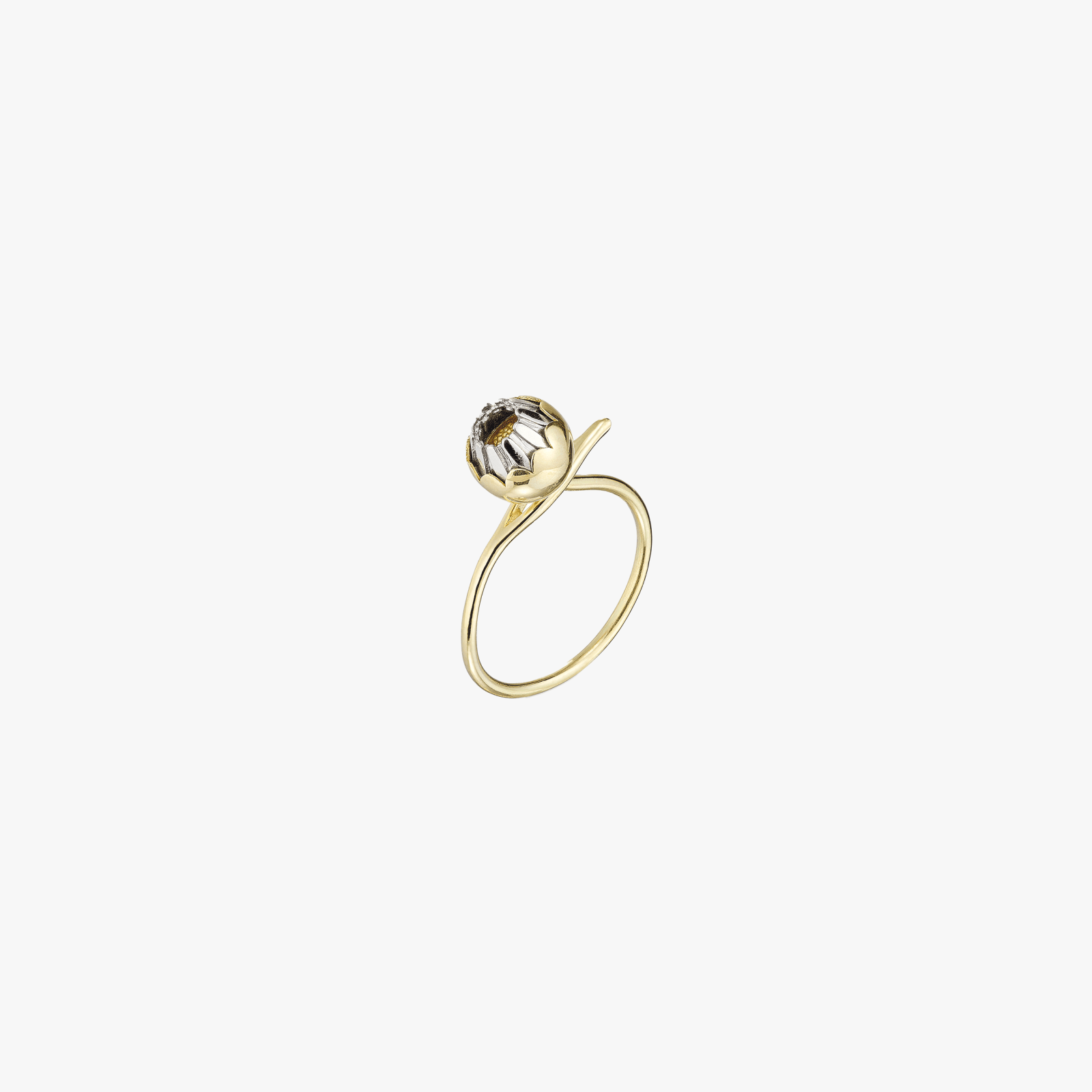 Christopher Thompson Royds, Daisy closed ring