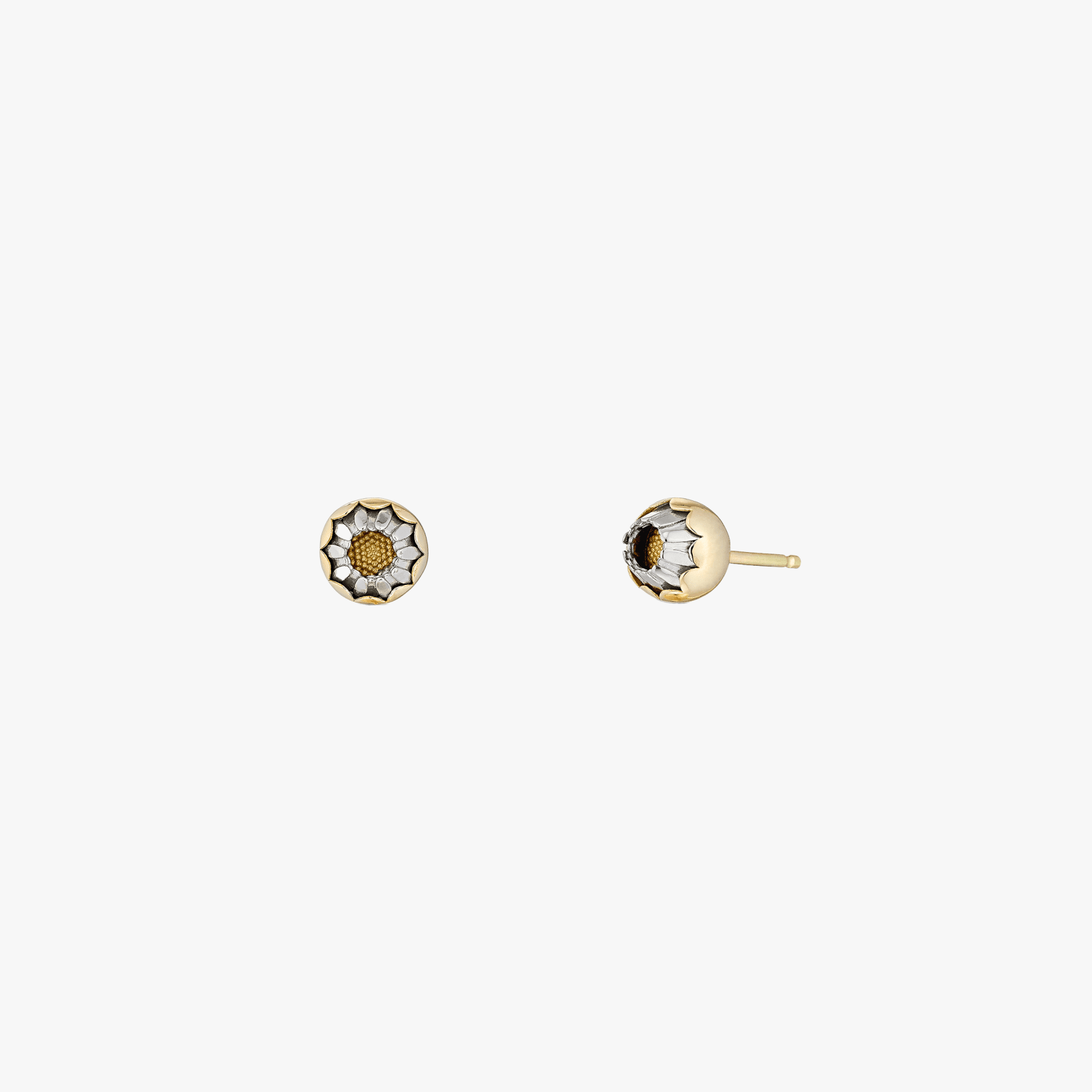Christopher Thompson Royds, Daisy closed studs