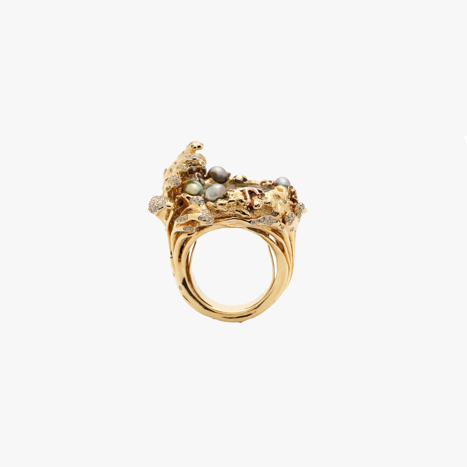Bibi Van Der Velden, Rock pool ring