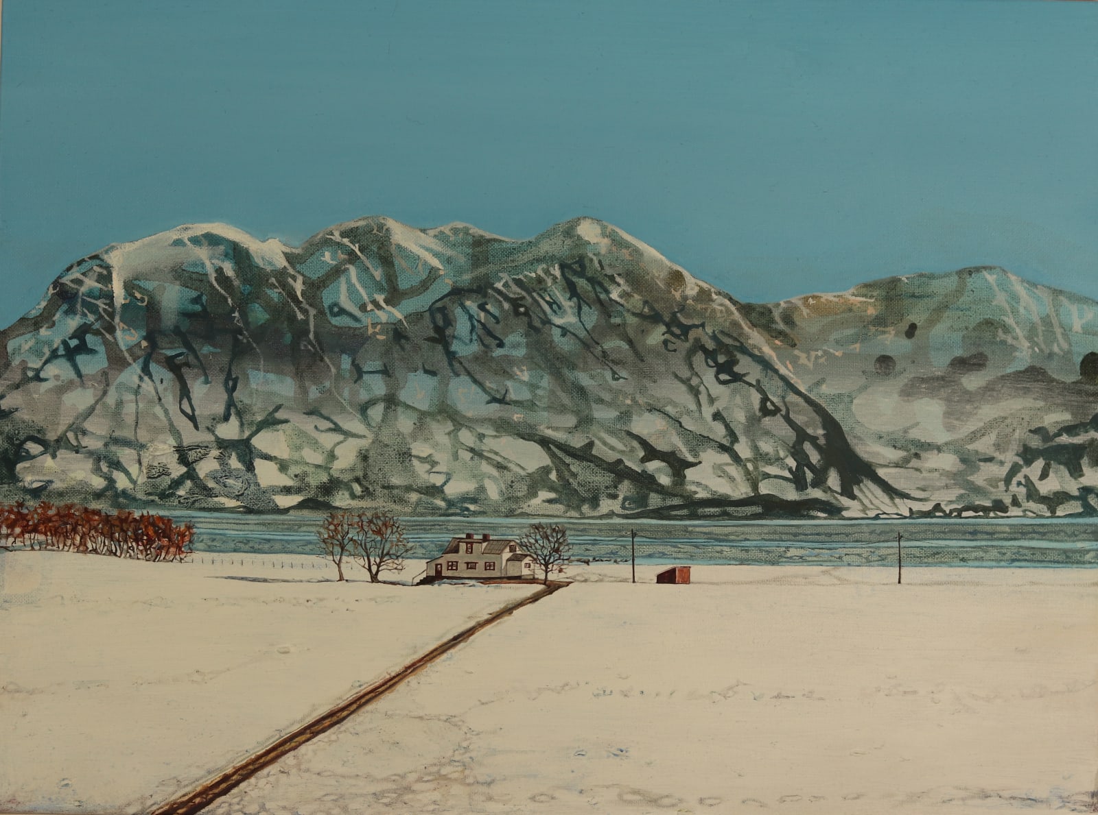Ann Quinn, Silence on Late Snow, 2019