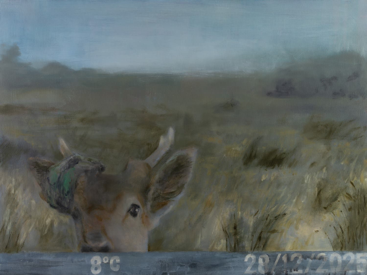 Beatrice O'Connell, Entangled, 2025