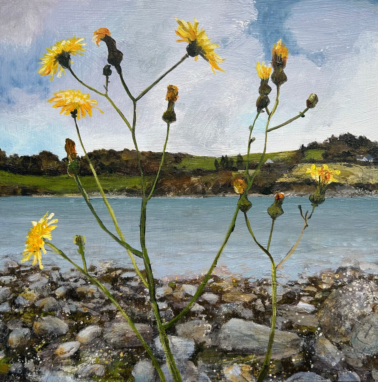 Janet Murran, Intimacy with the land II, 2025