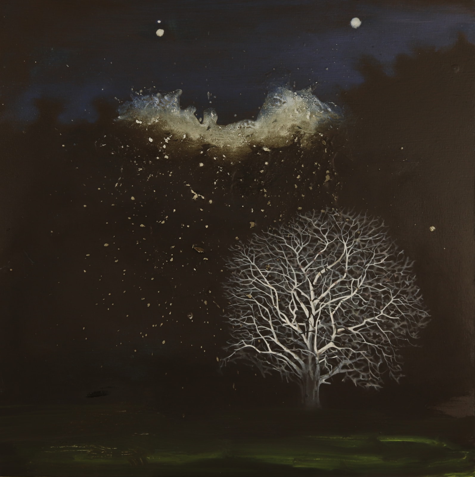 Ann Quinn, Expanding Light, 2019