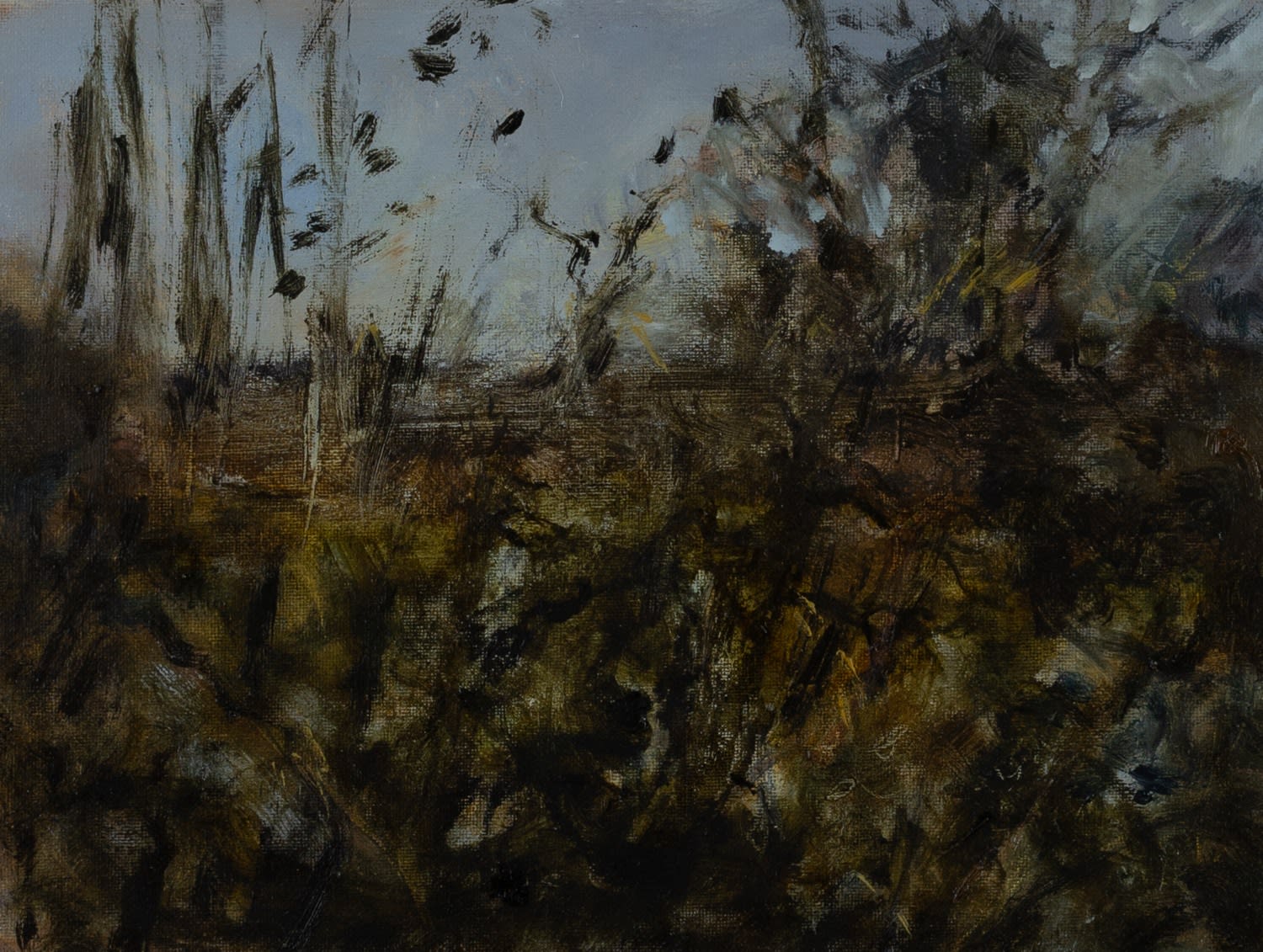 Beatrice O'Connell, Studio View, Tyrone Guthrie Centre, 2025