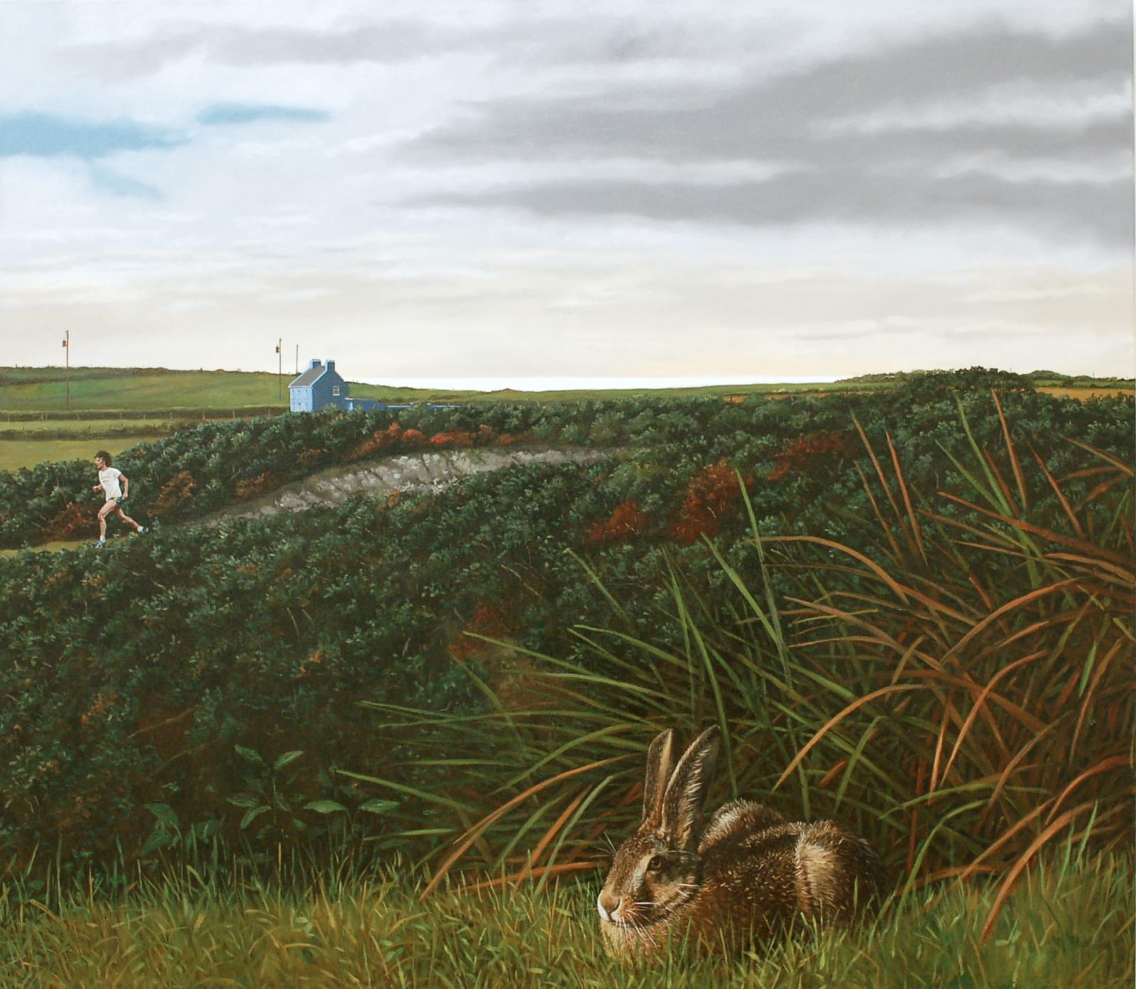 Martin Gale, Harrier, 2017