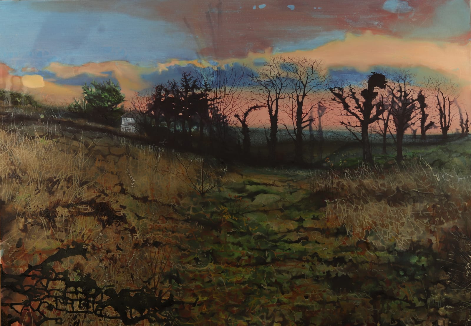 Ann Quinn, John Craig’s Farm, Drumcrow, 2019