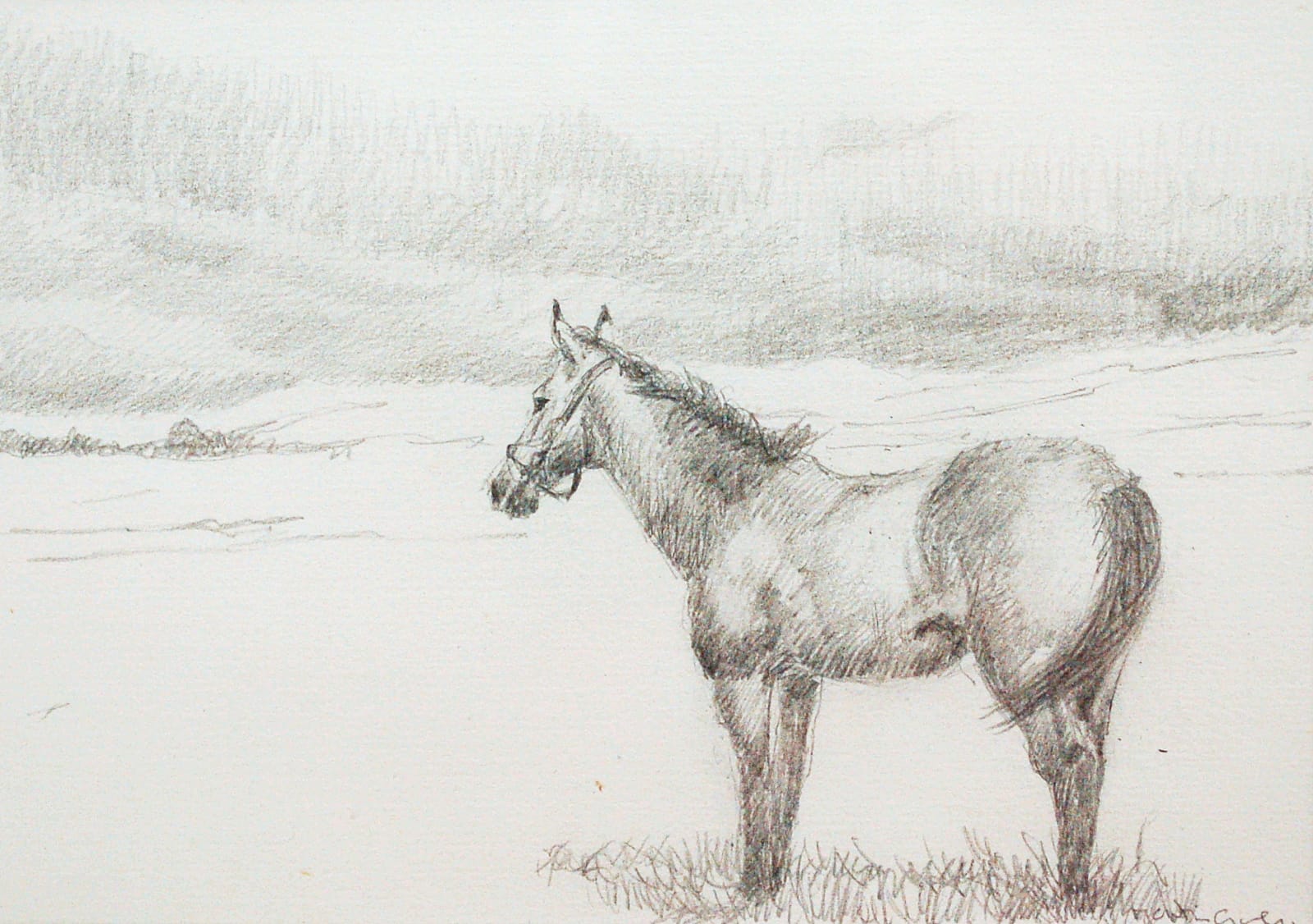 Martin Gale, Horse Study 1, 2019