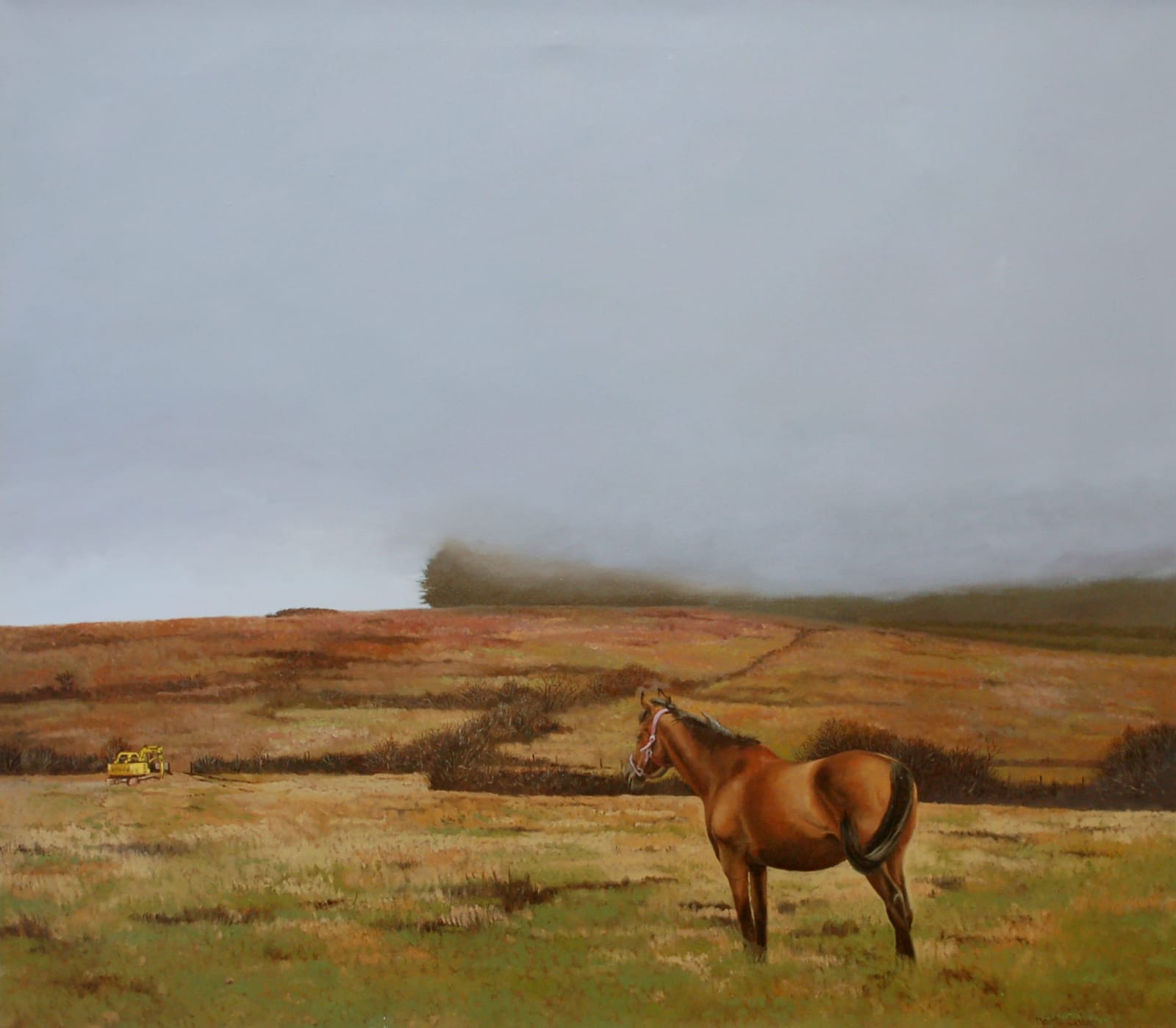 Martin Gale, Clearing, 2018