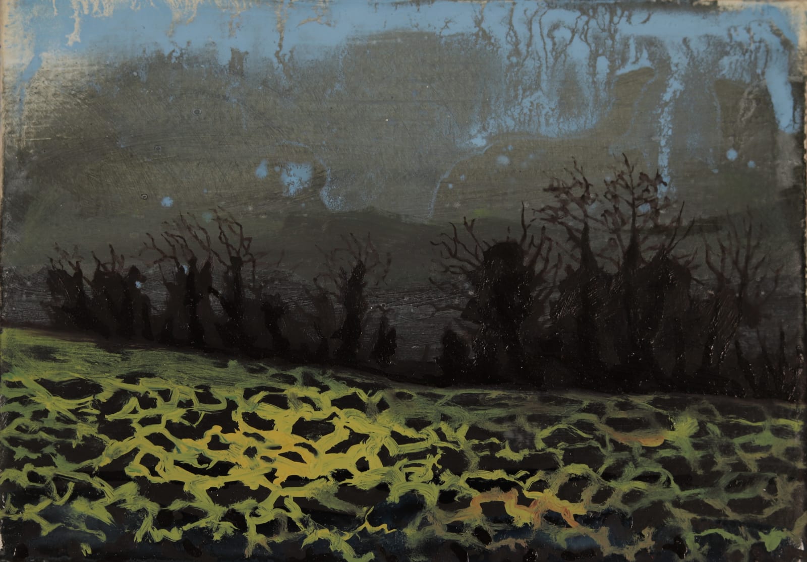 Ann Quinn, The Big Field, 2019
