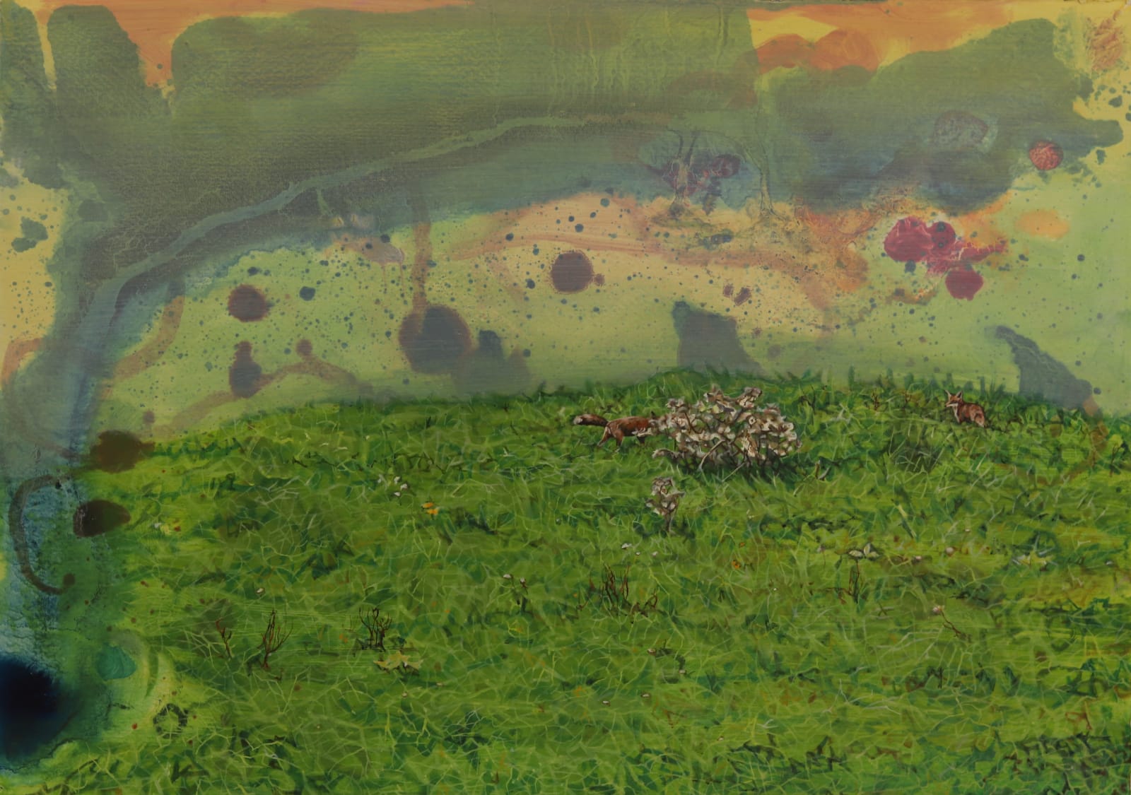 Ann Quinn, Foxes, seen from my Window , 2018