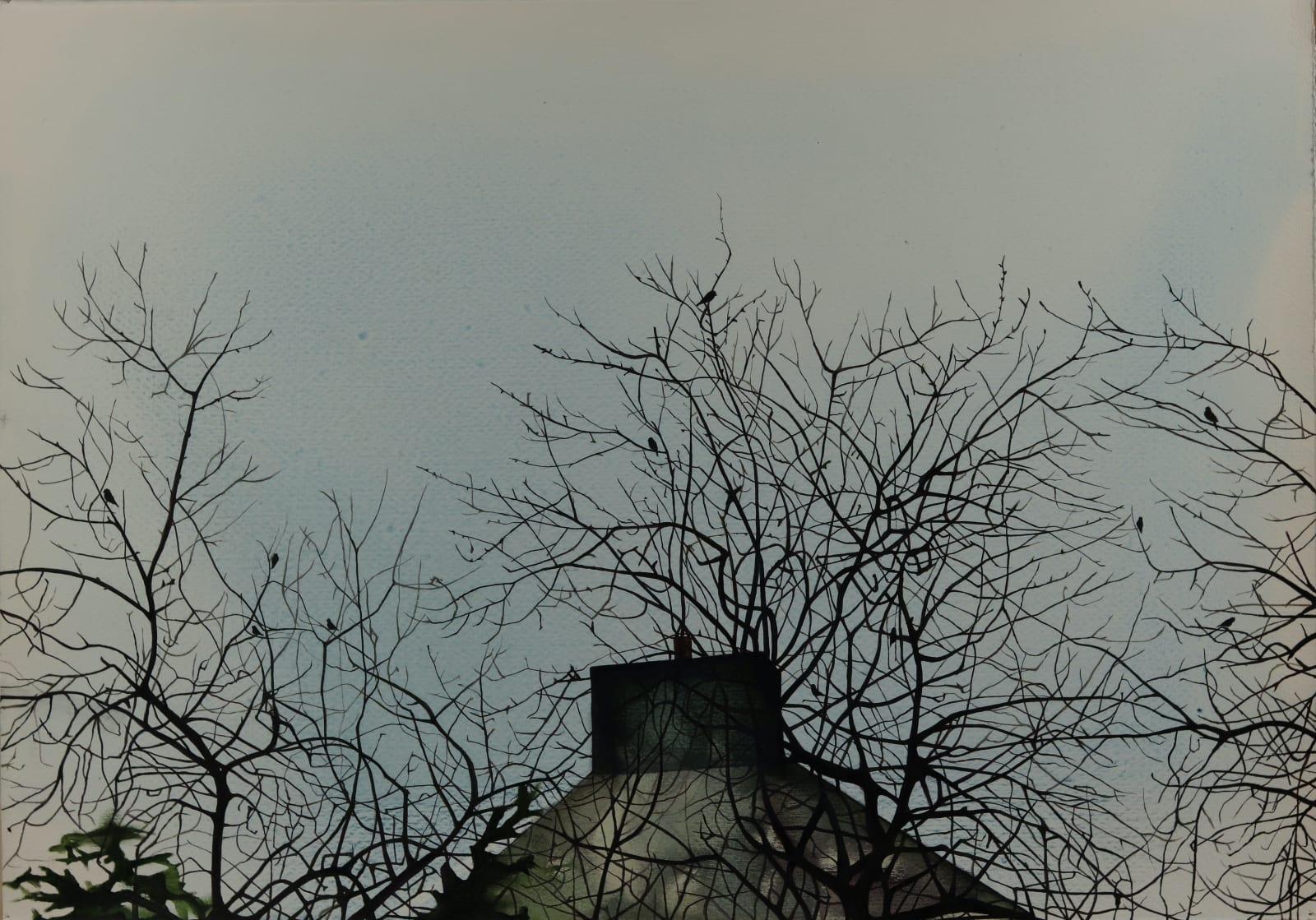 Ann Quinn, Starlings Chirping on Plum Trees, 2022