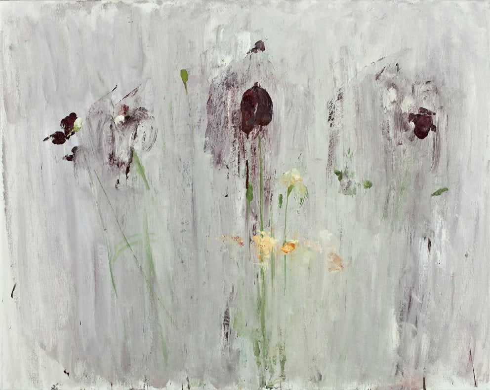 Pat Harris, Iris, 2011