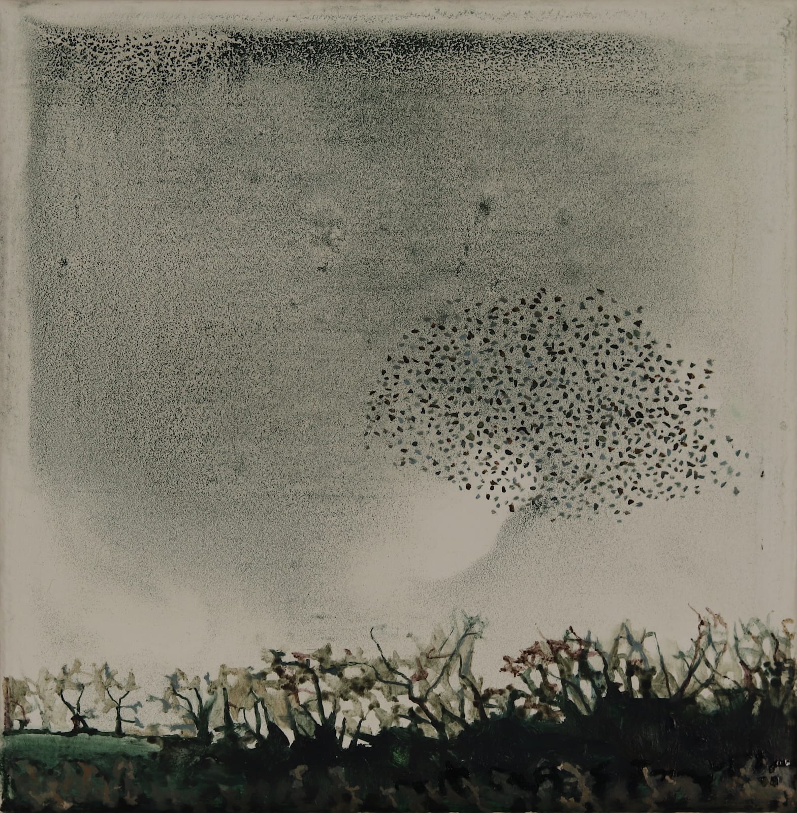 Ann Quinn, Murmuration, 2019