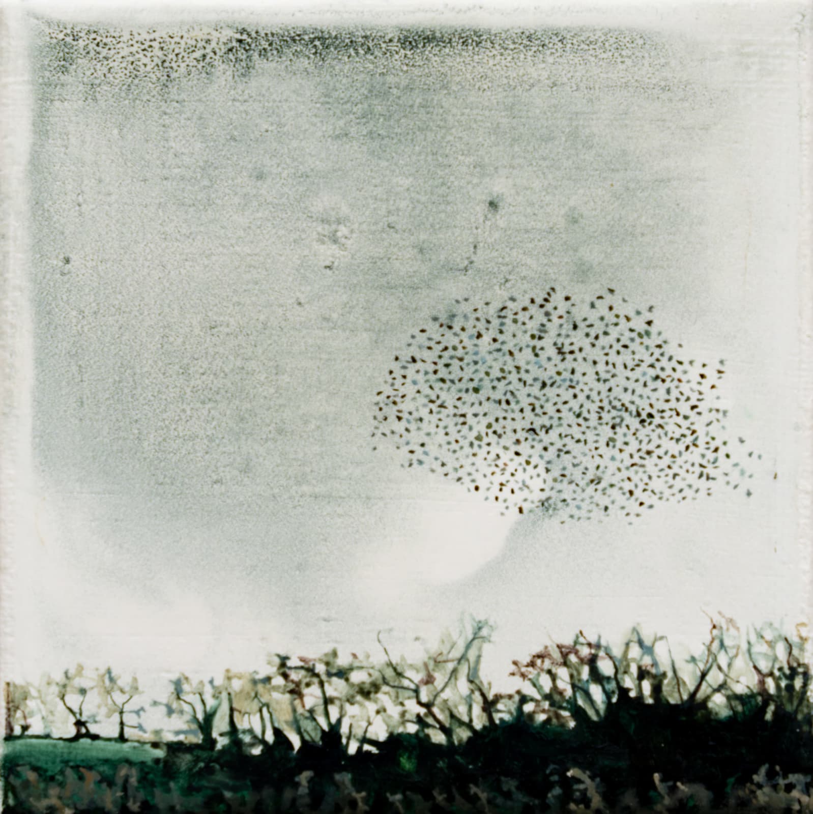 Ann Quinn, Murmuration, 2019