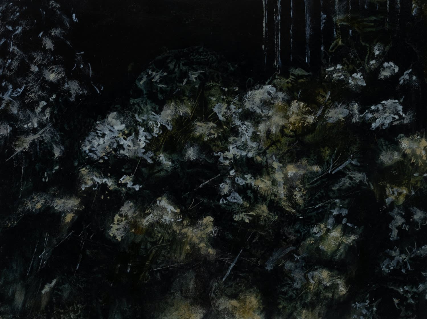 Beatrice O'Connell, New Growth, 2025