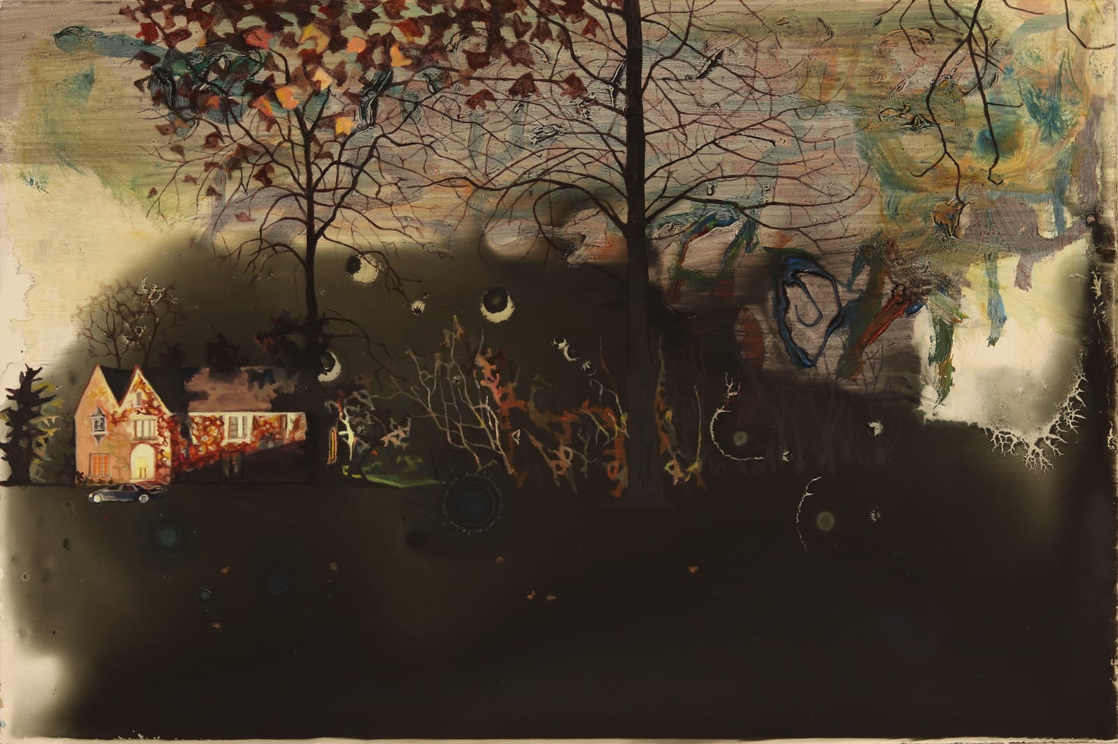 Ann Quinn, The Night of the Super Moon , 2019