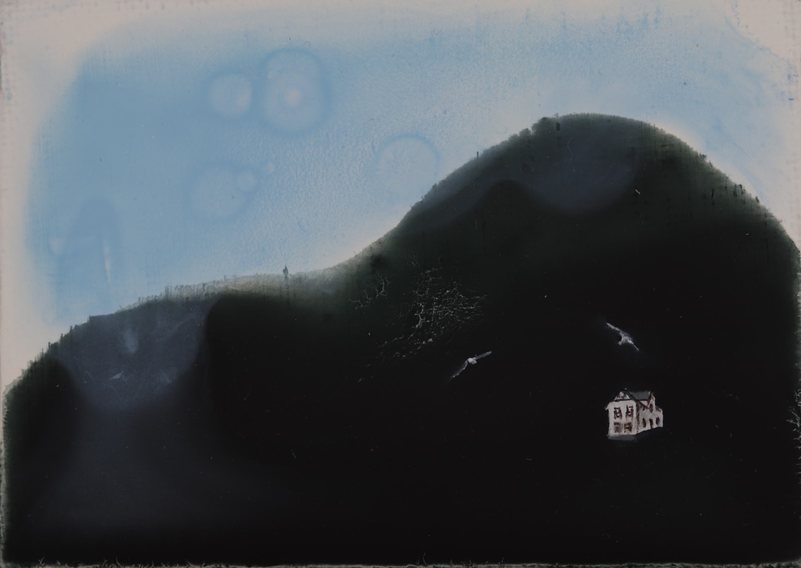 Ann Quinn, Sea Gull House, 2019