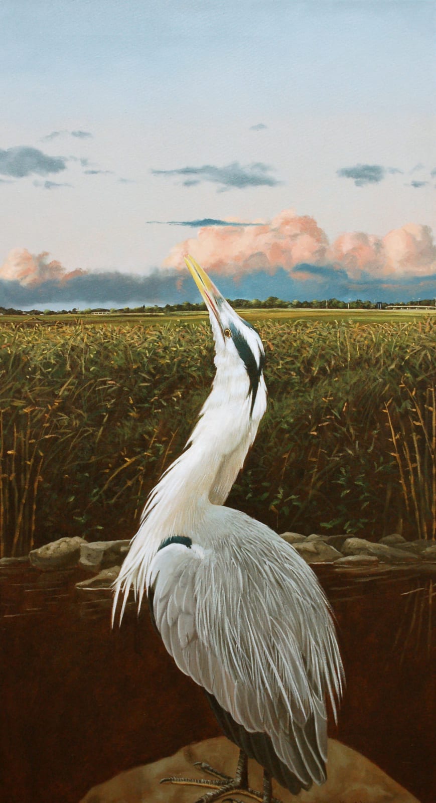 Martin Gale, Domain, 2017