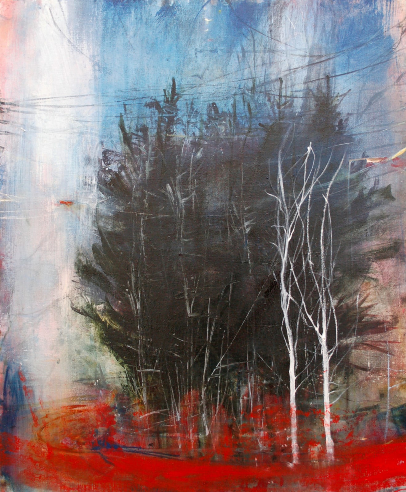 Patricia Burns, Copse II, , oil on canvas, , 2018