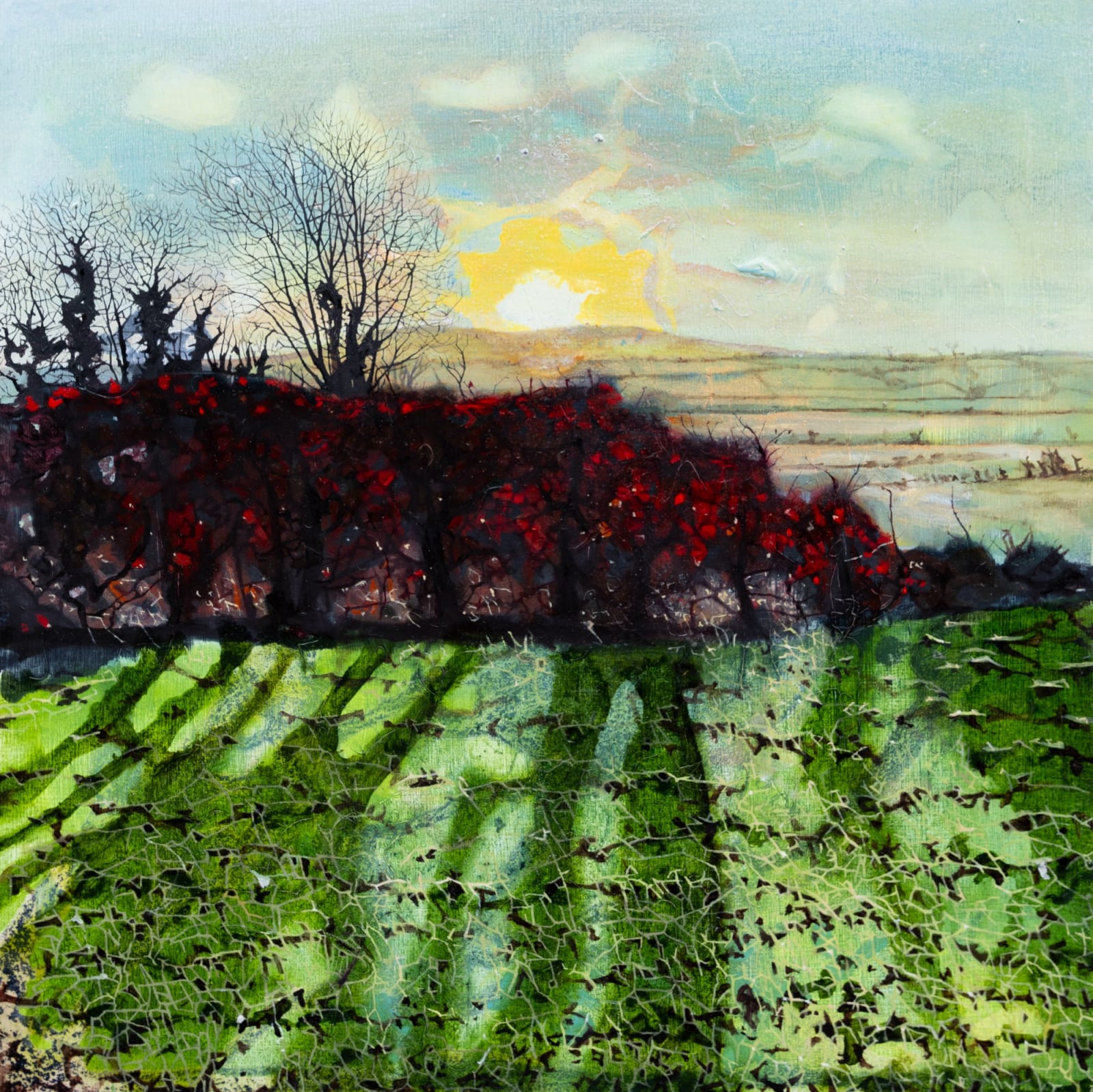 Ann Quinn, Heaven is as close as the end of the garden