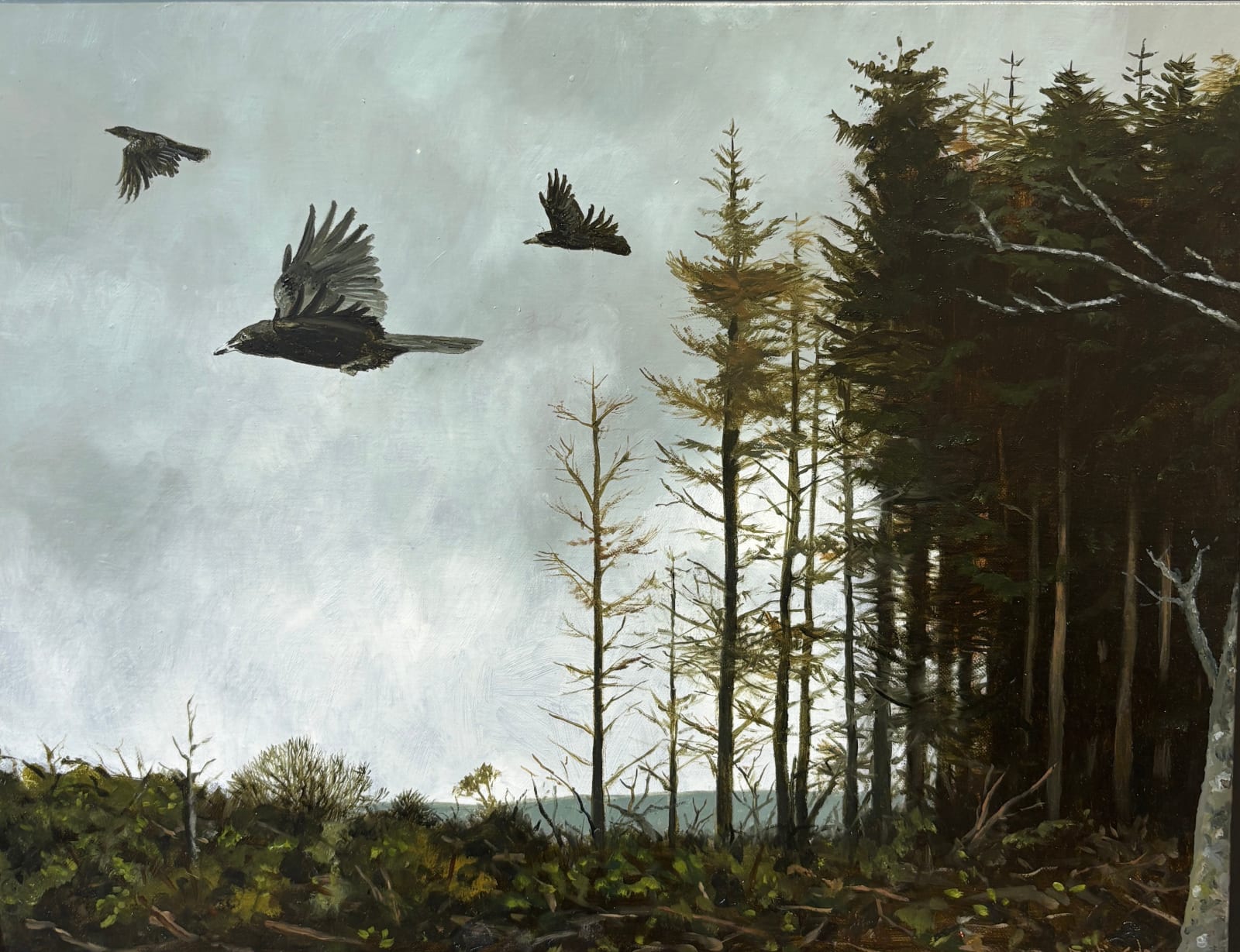 Martin Gale, Flight from the Forest
