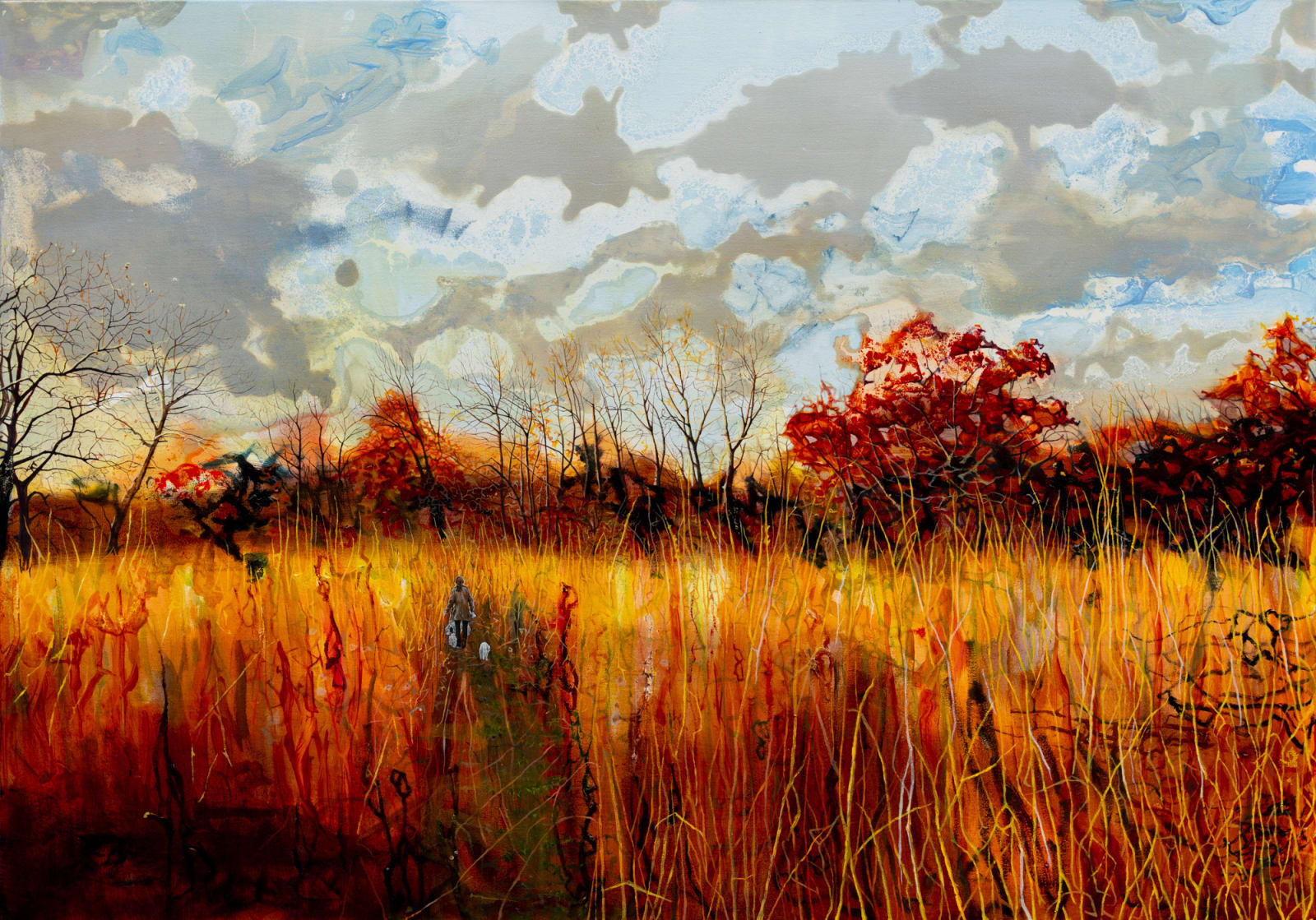 Ann Quinn, Jill Soderberg on her Daily Walk with her Three Dogs