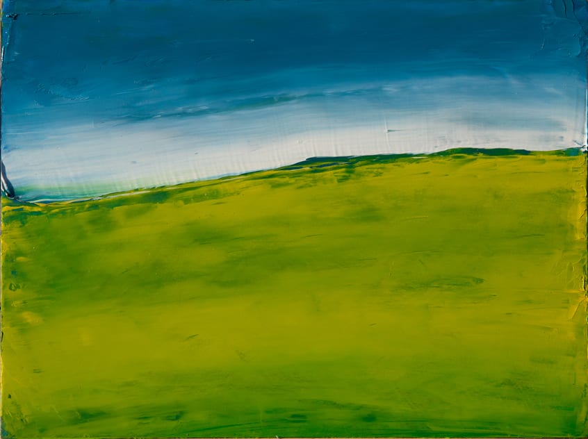 Seán McSweeney, Summer Field, 2012