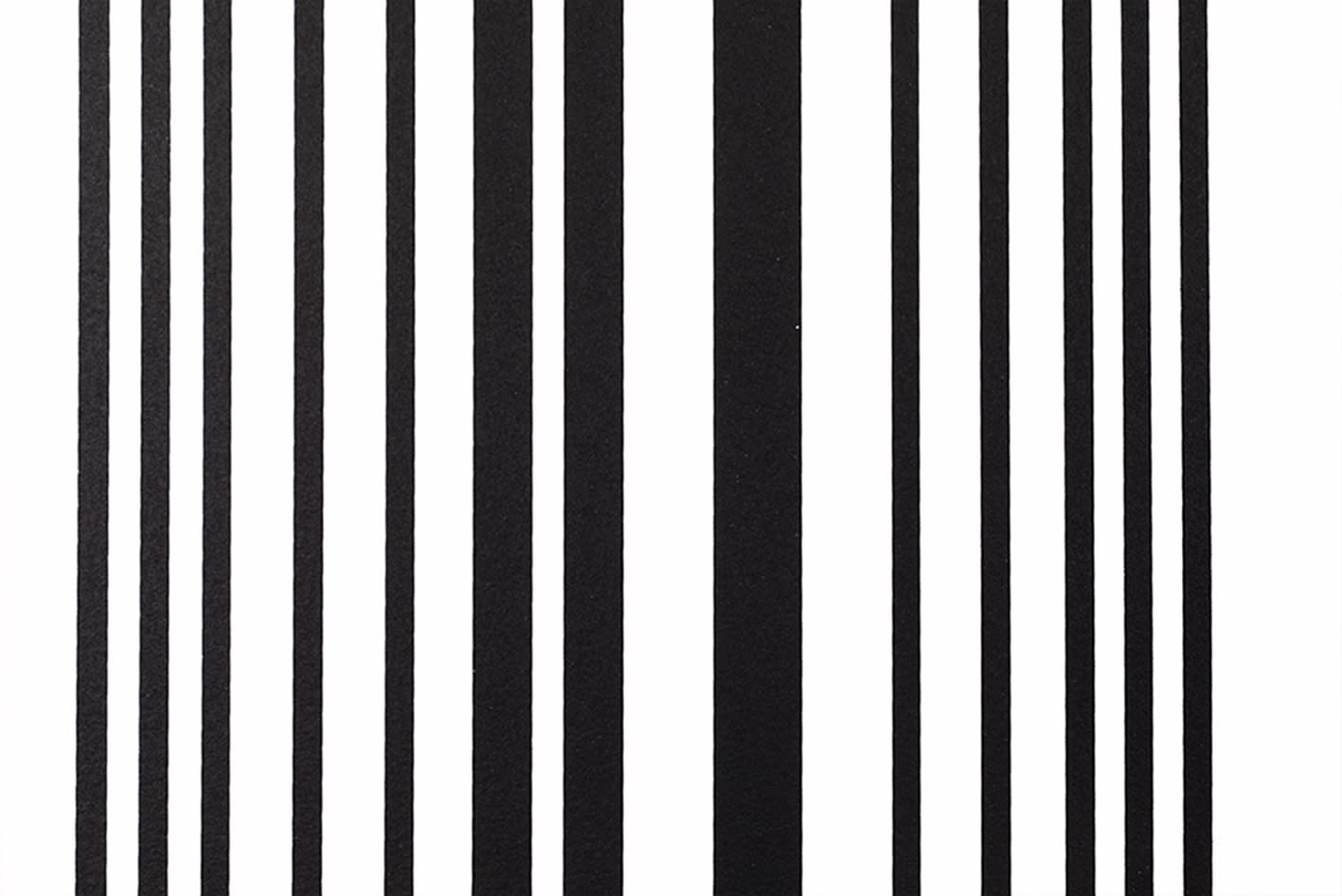 Damien Béguet / Estampe originale d’artiste / Atelier de sérigraphie d'art TCHIKEBE, Marseille