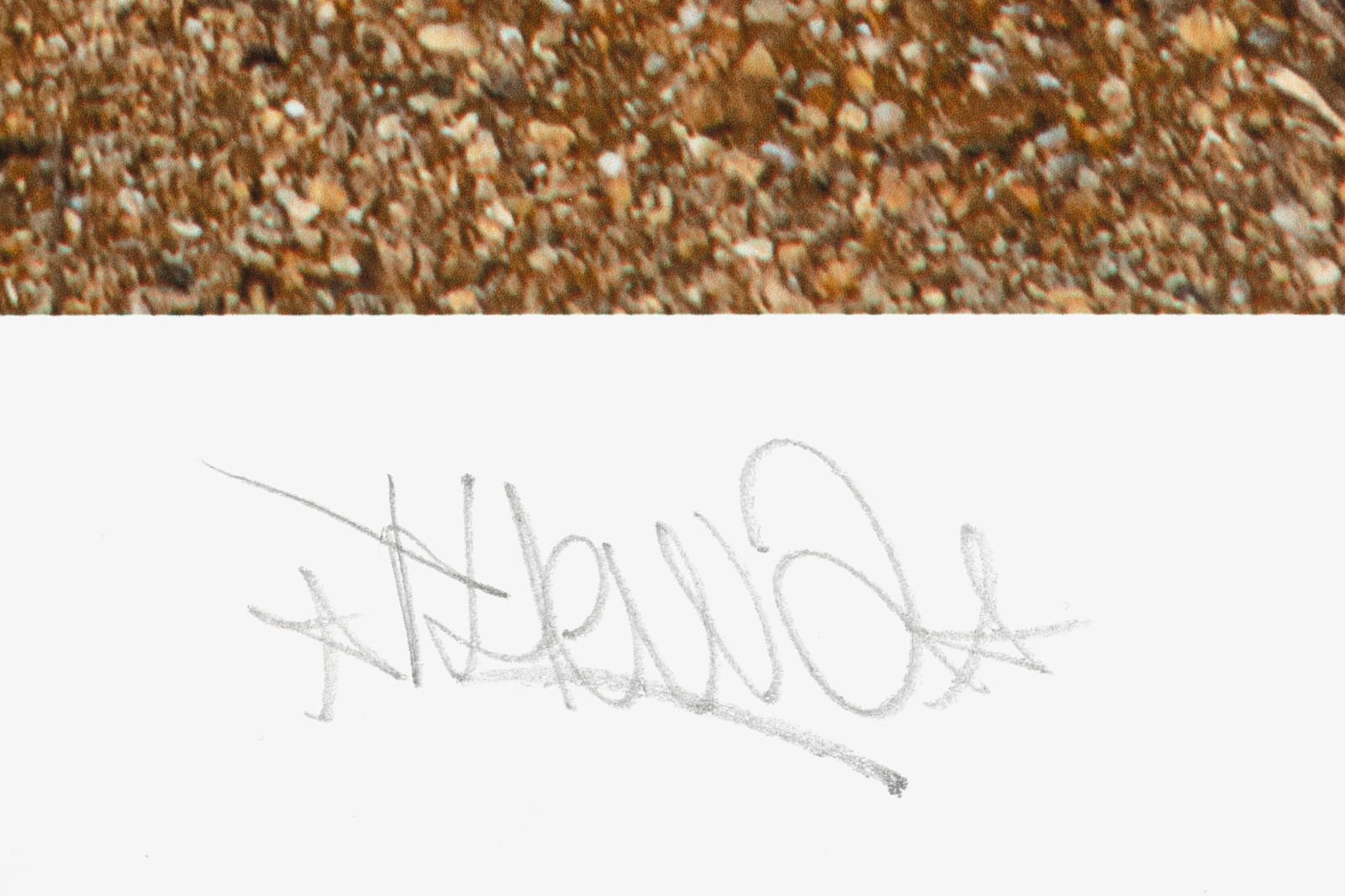 The Wa / Estampe originale d’artiste / Atelier de sérigraphie TCHIKEBE, Marseille