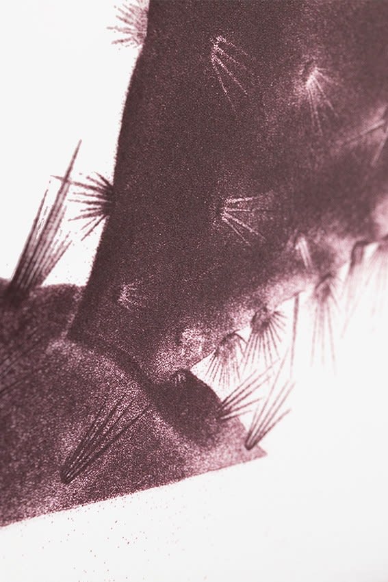 Yann Sérandour / Estampe originale d’artiste / Atelier de sérigraphie d'art TCHIKEBE, Marseille