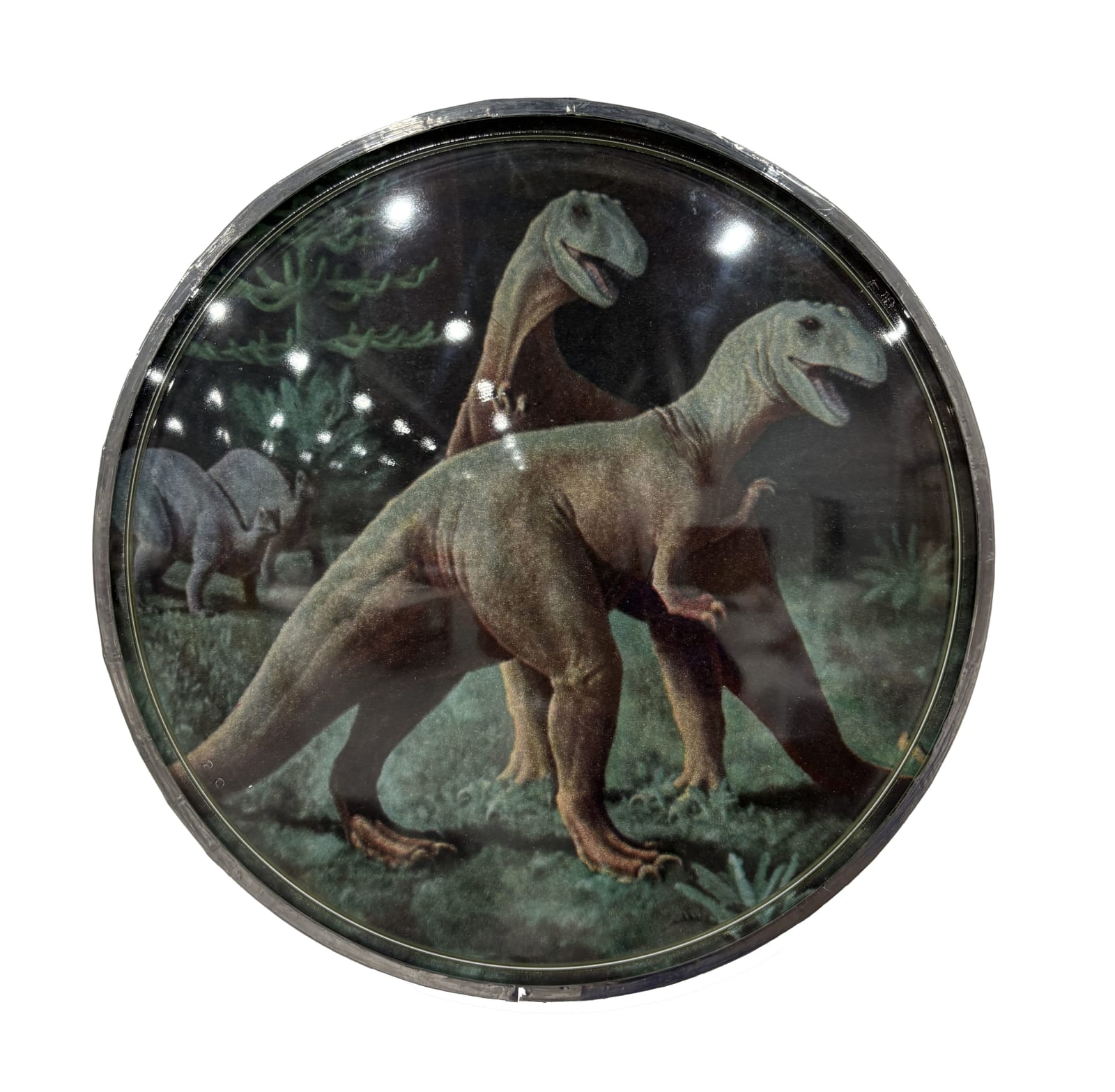 Thomas Mailaender, Les lentilles, 2025