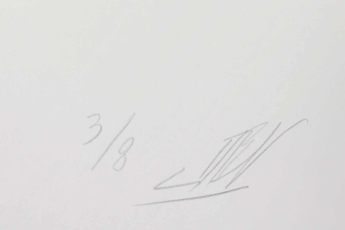 Damien Béguet / Estampe originale d’artiste / Atelier de sérigraphie d'art TCHIKEBE, Marseille