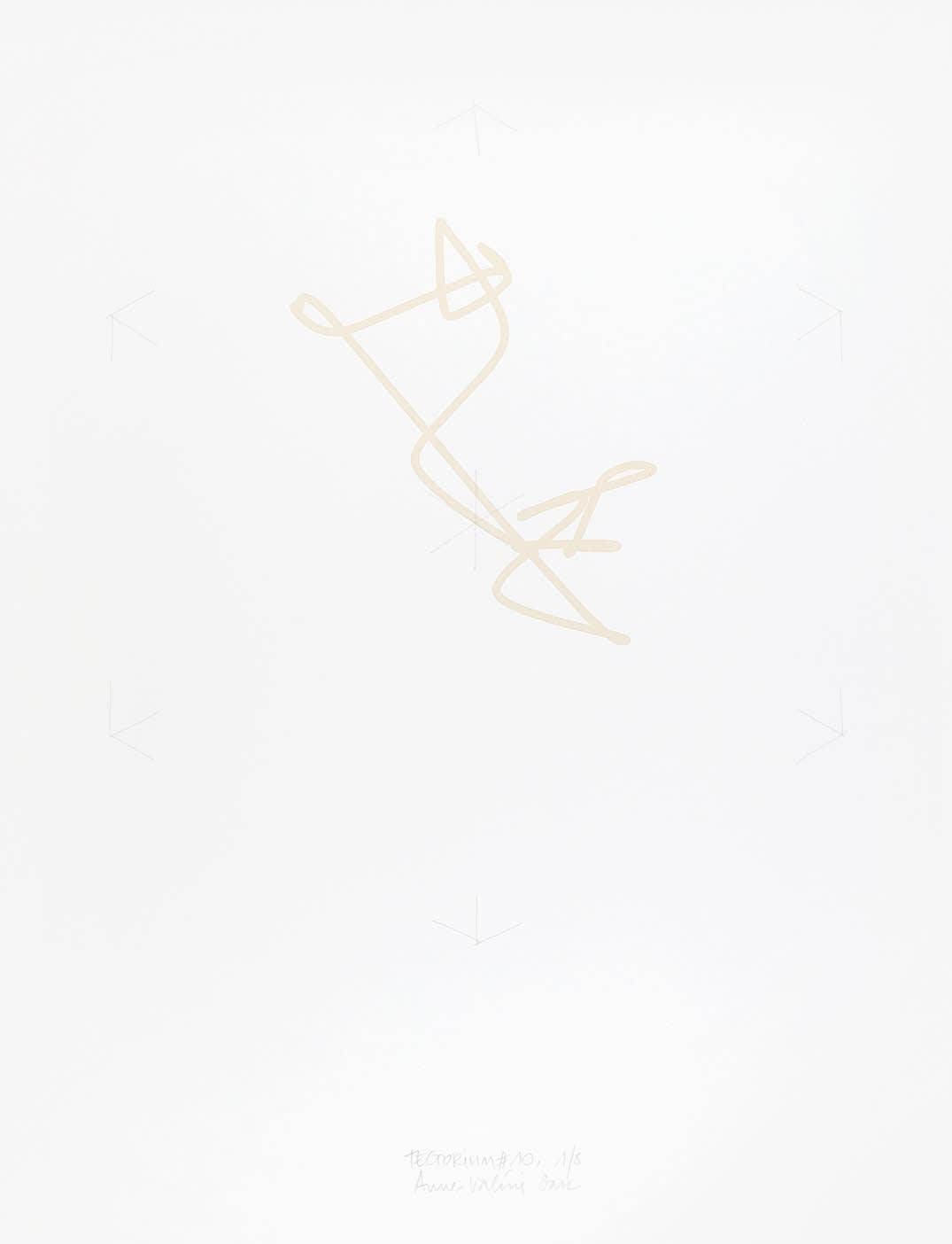 Anne-Valérie Gasc, Tectorium #10, 2016