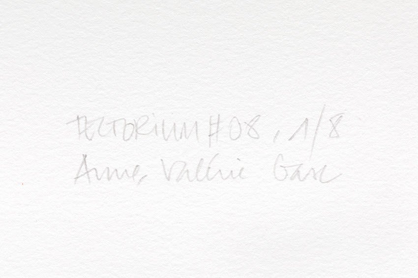 Anne-Valérie GASC / Estampe originale d’artiste / Atelier de sérigraphie d'art TCHIKEBE, Marseille