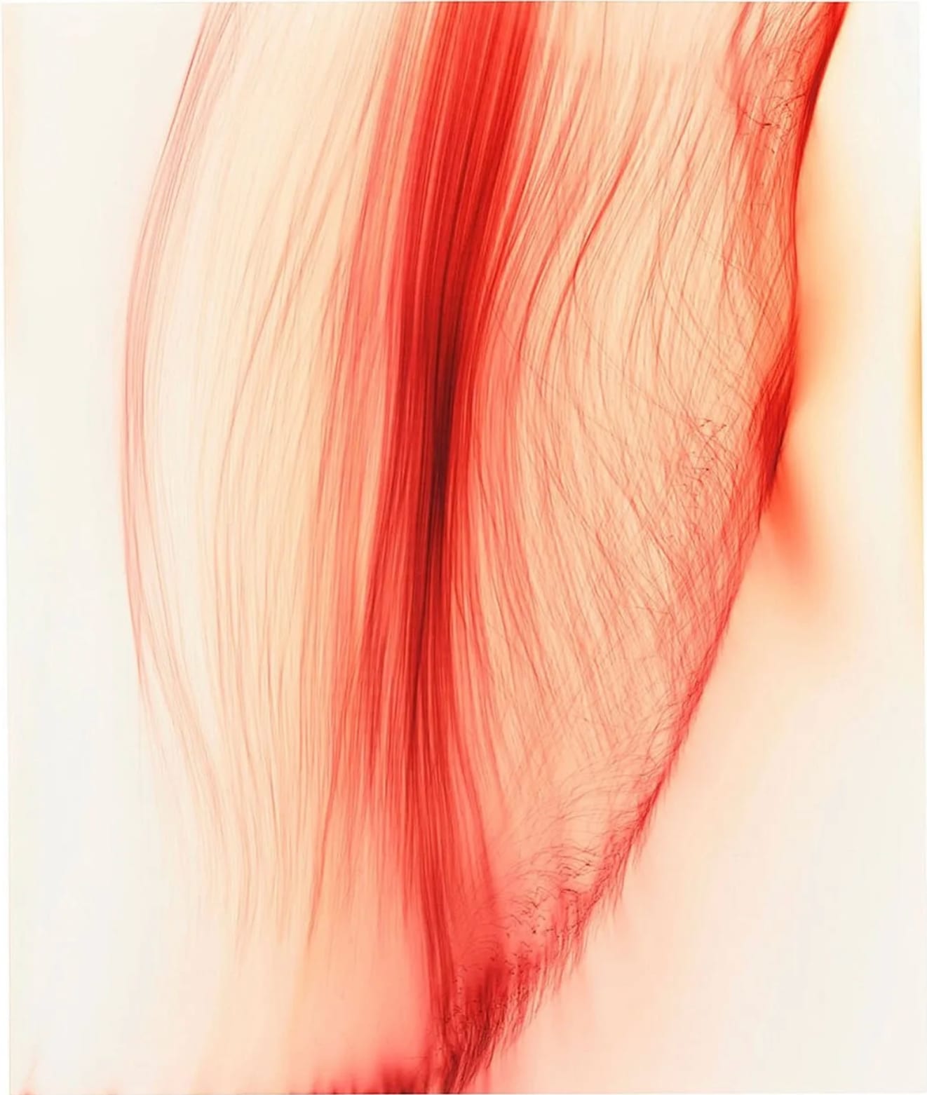 Wolfgang Tillmans, Doing Well, 2001