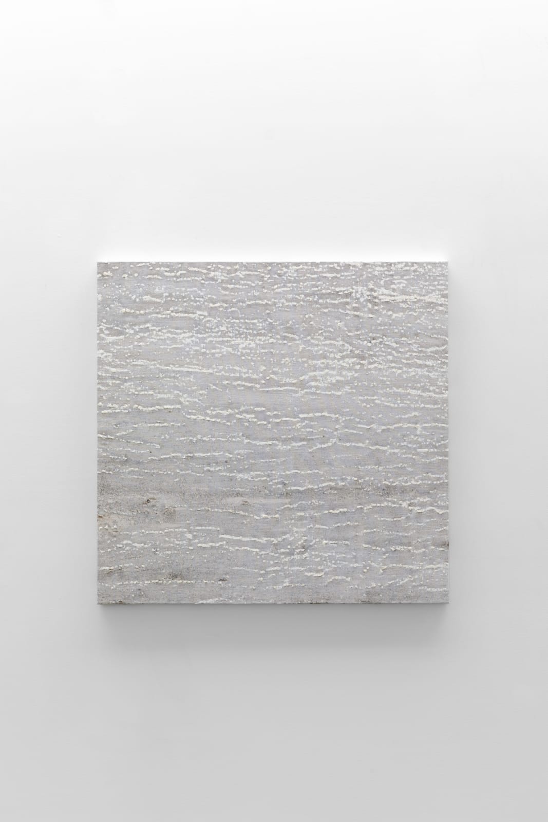 Kathleen Jacobs, TUTSI, 2020