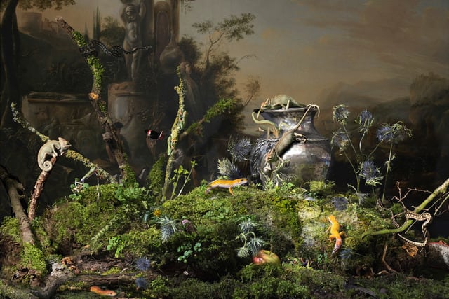 Hans Withoos, Garden of Eden, 2016