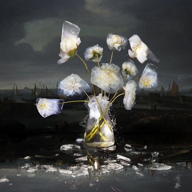 Hans Withoos, Ice Flower, 2018