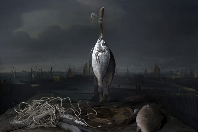 Hans Withoos, Caught Fish , 2016