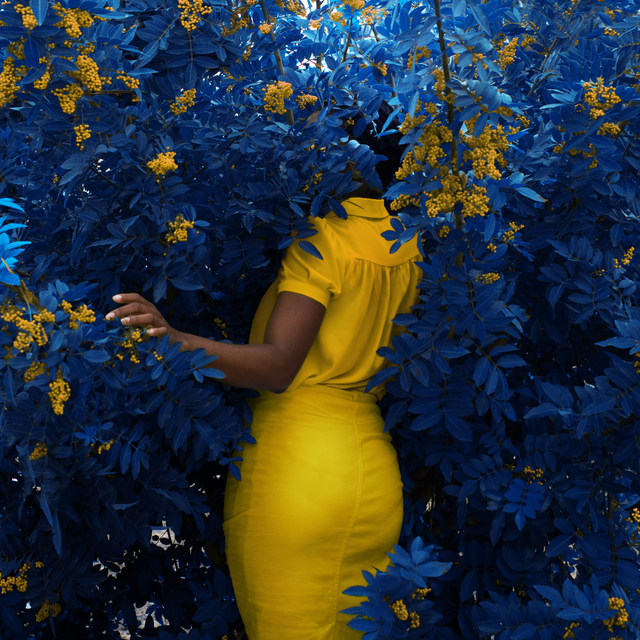 Fares Micue, Lucid Dream, 2019