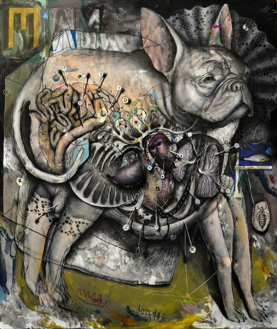 Dominik Schmitt, Dog, 2018