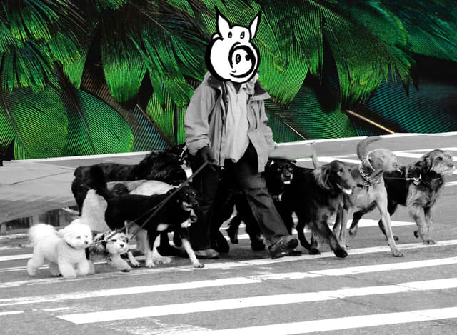 Joseph Ginsberg, Bark Avenue, 2016